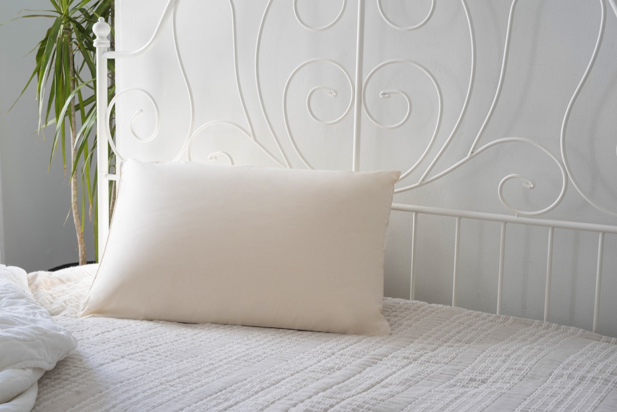 Buckwheat Hull Pillow - Magnolia Organics