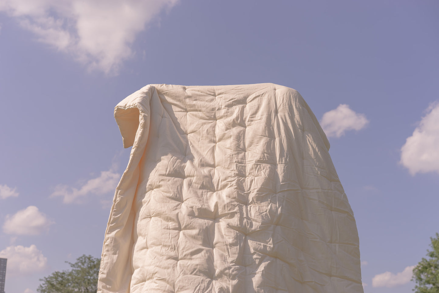 Nature Duvet and Comforter Bundle