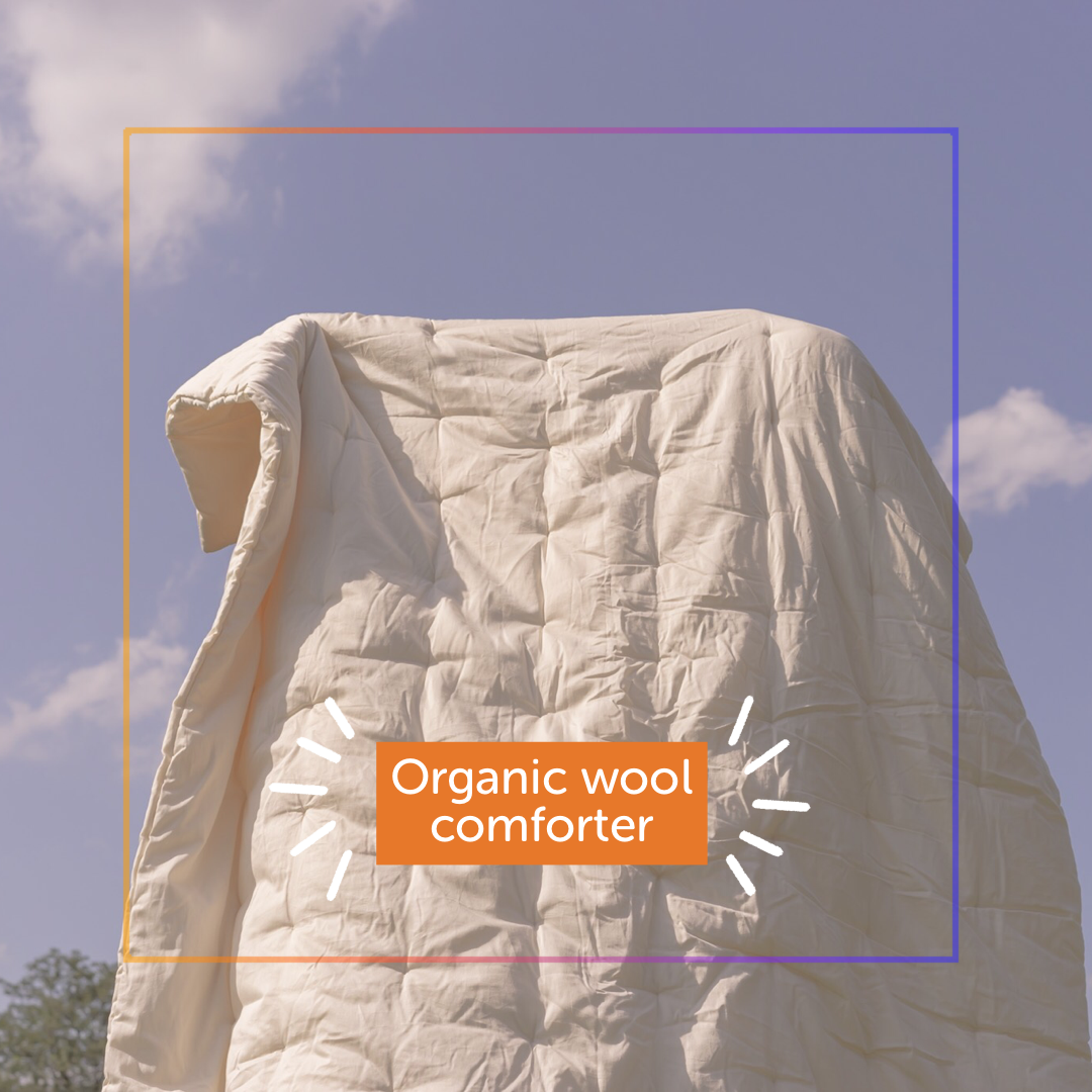 Organic Wool Comforter - Magnolia Organics