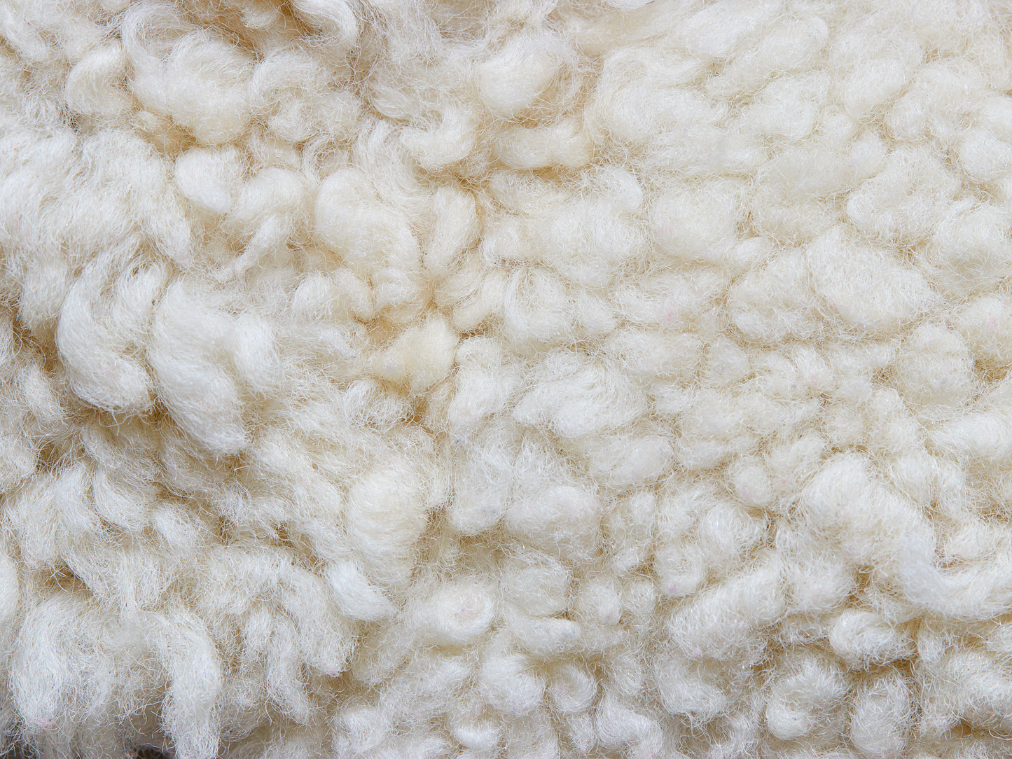 Wool Pillow Stuffing - 1lb bag - Magnolia Organics